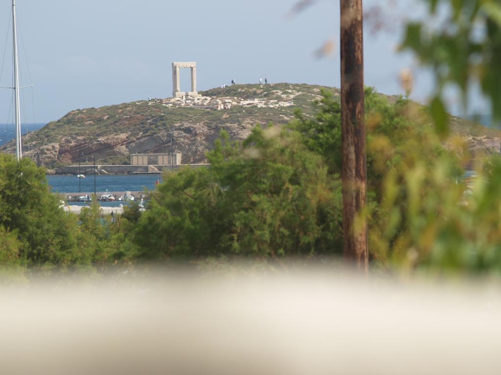 Vasiliki'S House Daire Naxos City Dış mekan fotoğraf